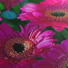 Obraz - kvety (90x60 cm)