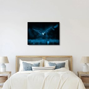 Sklenený obraz letiacej sovy (70x50 cm)