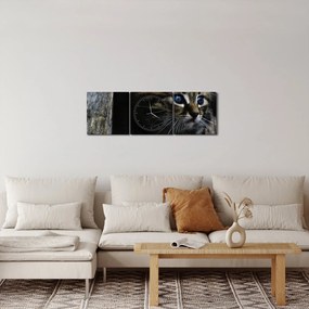 Obraz mačiatka (s hodinami) (90x30 cm)