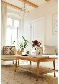 Konferenčný stolík z dubového dreva v prírodnej farbe 60x100 cm Twig – The Beds