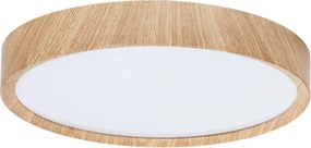 BRILAGI - LED stropné svietidlo NATURA LED/20W/230V 4000K priemer 33,7 cm