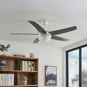 Starluna Auraya stropný ventilátor biela/dub