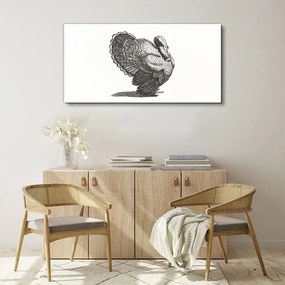 Obraz na plátne Obrázok zvieracie vták Turecko