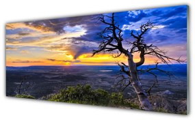 Obraz plexi Strom zápas slnko 125x50 cm