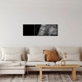 Obraz - Slonie kly (s hodinami) (90x30 cm)