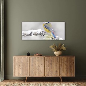 Obraz - Sýkorka (120x50 cm)
