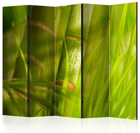 Artgeist Paraván - bamboo - nature zen [Room Dividers]