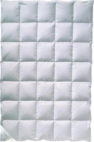 XXXLutz CELOROČNÁ PRIKRÝVKA, 135/200 cm, kačacie páperie, kačacie perie Billerbeck - Prikrývky & vankúše - 003279054201