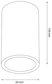 Vonkajšie bodové svietidlo ATLANTA 1xGU10/10W/230V IP54 čierna