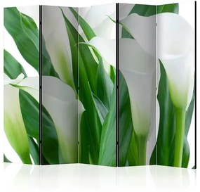 Paraván - bunch of flowers - callas II [Room Dividers] Veľkosť: 225x172, Verzia: Jednostranný