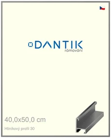 DANTIK rám na obraz 40x50 | ALU Ocelová (Plexi Čiré)