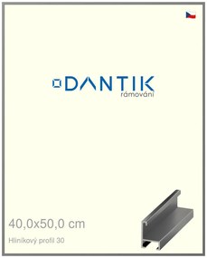DANTIK rám na obraz 40x50 | ALU Ocelová (Plexi Čiré)