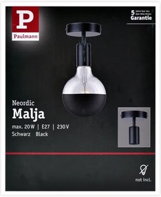 Paulmann 79760 - Stropné svietidlo HALDOR 1xE27/20W/230V