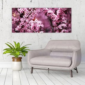 Obraz - Ružová sakura (120x50 cm)
