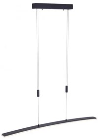 Paul Neuhaus 2530-13 - LED Stmievateľný luster na lanku JANINA LED/27W/230V