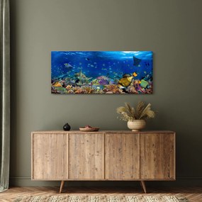 Obraz - Oceán (120x50 cm)