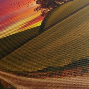 Obraz poľa a farebného neba (70x50 cm)
