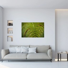Obraz - Papraď (90x60 cm)