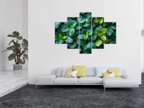 Obraz - Zelené rastliny (150x105 cm)