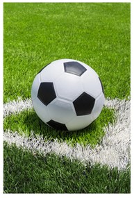 Jerry Fabrics DETSKÁ FLEECOVÁ DEKA FOOTBALL 100X150 CM VZOROVANÁ