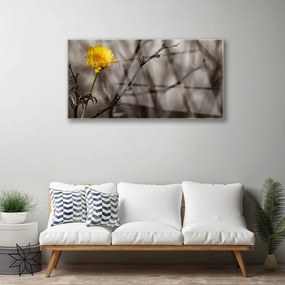 Obraz na skle Vetva kvet 140x70 cm