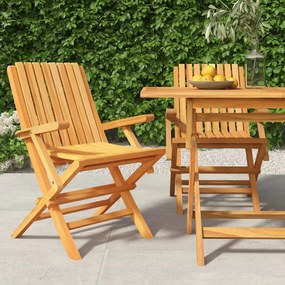 Skladacie záhradné stoličky 2 ks 61x67x90 cm tíkový masív 362758