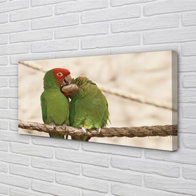 Obraz na plátne zelené papagáje 125x50 cm