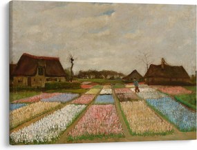 Obraz - Vincent van Gogh, Flower Beds in Holland, reprodukcia (70x50 cm)