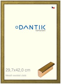 DANTIK rám na obraz 29,7x42 | Metalli oidati zlatá (Plexi Čiré)