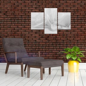 Obraz - Perie (90x60 cm)