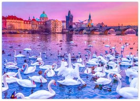 Sklenený obraz - Praha (70x50 cm)