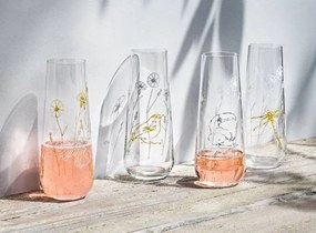 Crystalex Poháre na prosecco MEADOW 250 ml, 4 ks