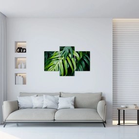 Obraz - Tropické listy (90x60 cm)