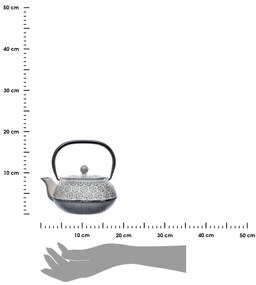 Liatinová čajová kanvica so sitkom Folk 1000 ml
