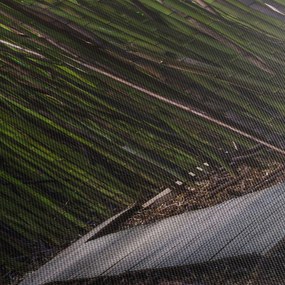 Obraz - Medzi bambusy (150x105 cm)