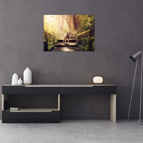 Obraz tigra (70x50 cm)
