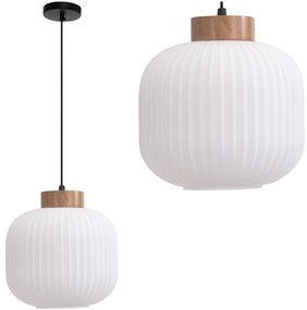 Toolight Toolight, závesné svietidlo sklenené E27 APP1068-CP, biela, OSW-04401