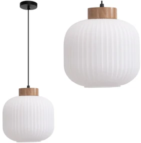 Toolight Toolight, závesné svietidlo sklenené E27 APP1068-CP, biela, OSW-04401