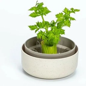 Plastia Regrow, slonová kosť