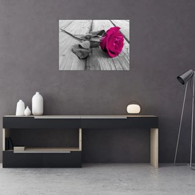 Sklenený obraz - Ružová ruža (70x50 cm)
