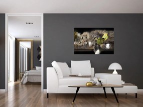 Obraz - Ležiaca mačka (90x60 cm)