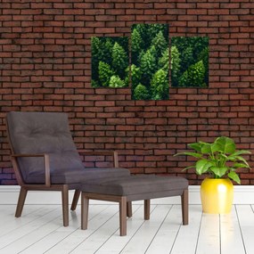 Obraz - Les (90x60 cm)