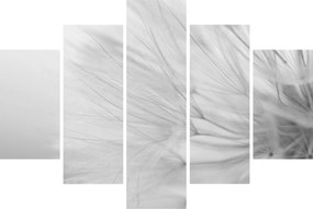 Obraz - Púpava (150x105 cm)