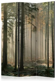 Artgeist Paraván - Foggy November morning [Room Dividers]