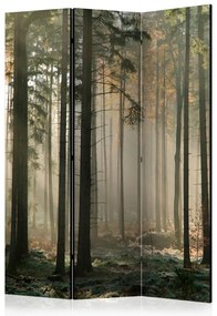Artgeist Paraván - Foggy November morning [Room Dividers]