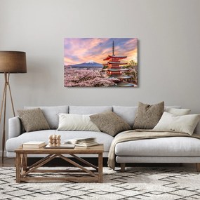 Obraz - Fuji (90x60 cm)