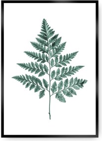 Plagát Fern 21 x 30 cm Emerald Green