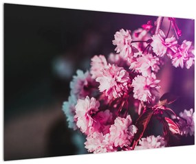 Obraz kvetov stromov (90x60 cm)