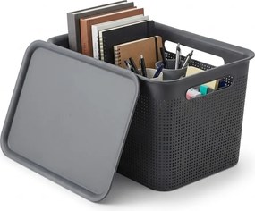 Rotho Úložný box s vekom a s držadlami BRISEN 16l, 36x26,2x21cm, čierny