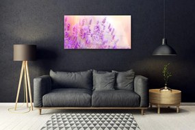 Skleneny obraz Levanduľovej pole slnko kvety 125x50 cm